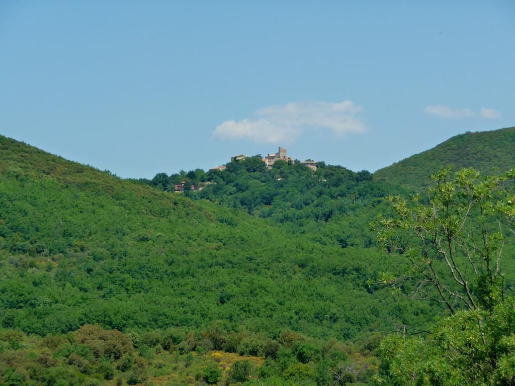 Chateau Olmet Лодев Экстерьер фото